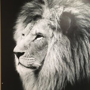 Meet your Posher, Bonnie